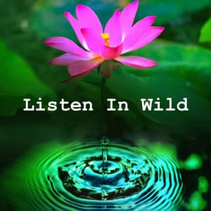 Listen In Wild - Nature Hub