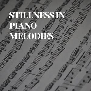 Stillness in Piano Melodies - PianoDreams
