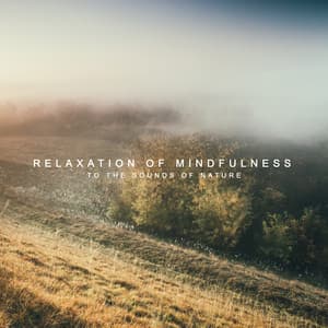 Relaxation of Mindfulness to the Sounds of Nature - Belly Dance Music Zone