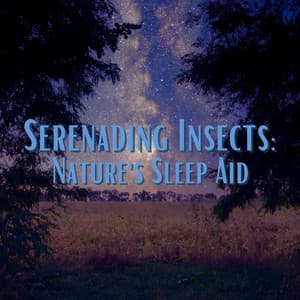 Serenading Insects: Nature's Sleep Aid - Mother Nature Sound FX