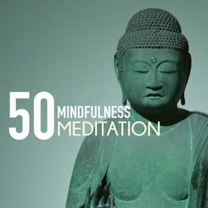 Mindfulness Meditation 50 - Peaceful Ambient to Soothe Your Mind, Zen Notes and Music - Purest Tonality