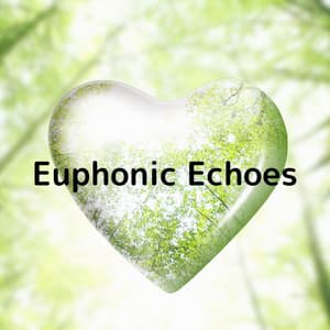Euphonic Echoes - Soulful Symphony