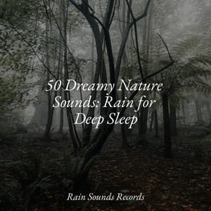 50 Dreamy Nature Sounds: Rain for Deep Sleep - Instrumental