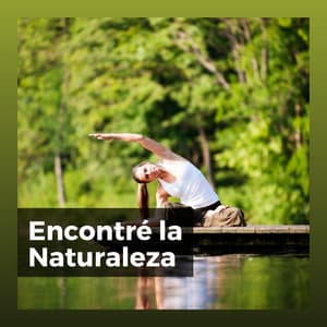 Encontré la Naturaleza - Sonidos de la Naturaleza para Dormir