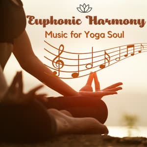 Euphonic Harmony: Music for Yoga Soul - Quiet Point