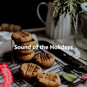 Sound of the Holidays - Midnight Jazz Playlist