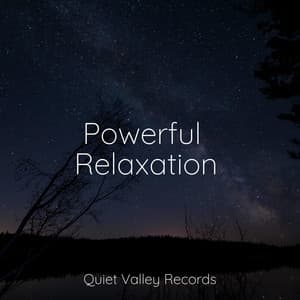 Powerful Relaxation - Fabricantes De Lluvia