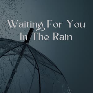 Waiting For You In The Rain - EnigmaLofi