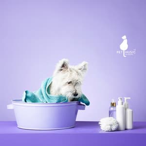 Furry Spa Moments: Relaxing Bath Time - Pet Music Academy