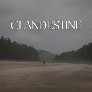 Clandestine - Soothing Music
