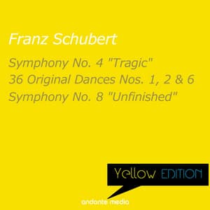Yellow Edition - Schubert: Symphony No. 4 "Tragic" & Symphony No. 8 "Unfinished" - Franz Schubert