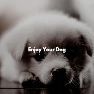 Enjoy Your Dog - Jazz for Working