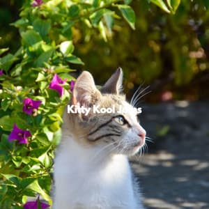 Kitty Kool Jams - Easy Listening Background Jazz