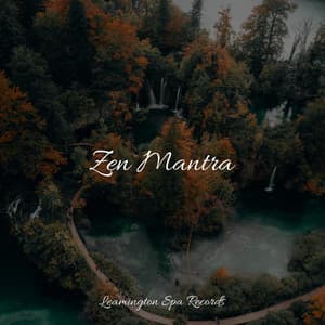 Zen Mantra - Bedtime Baby
