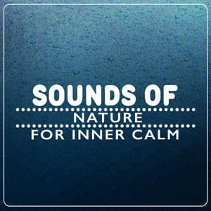Sounds of Nature for Inner Calm - The Healing Sounds of Nature