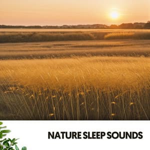 Nature Sleep Sounds: Symphony of Serenity - Música Relajante Para Leer
