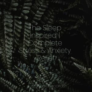 The Sleep Inspired | Complete Stress & Anxiety Relief - Schlaflieder Für Kinder