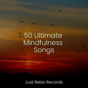 50 Ultimate Mindfulness Songs - Nursery Rhymes Club