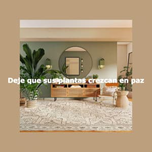 Deje que sus plantas crezcan en paz - Musique du Dimanche Matin