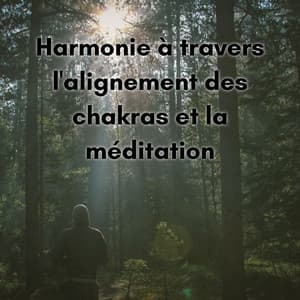 Harmonie à travers l'alignement des chakras et la méditation - New Age Musique Zen