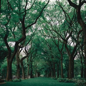 Relaxing and pleasant melodies for deep sleep - Soothing Relaxation