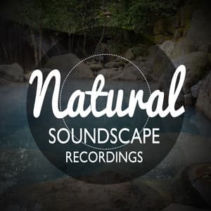 Natural Soundscape Recordings - Soundscapes