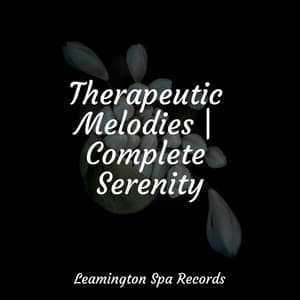 Therapeutic Melodies | Complete Serenity - Sample Rain Library
