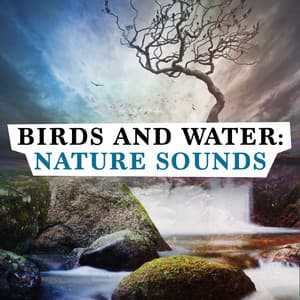 Birds and Water: Nature Sounds - Sound Library XL