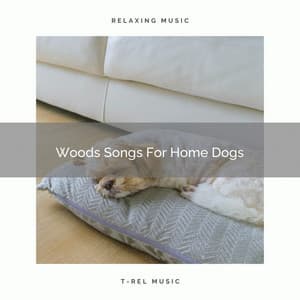 Woods Songs For Home Dogs - Dog Relax