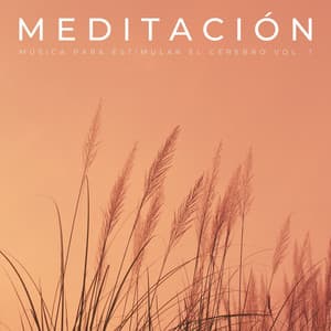 Meditación: Música Para Estimular El Cerebro Vol. 1 - Lista de reproducción de meditación