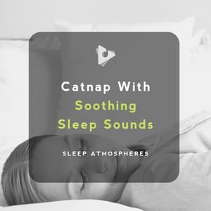 Catnap With Soothing Sleep Sounds - Sleep Atmospheres