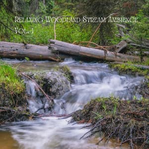 Relaxing Woodland Stream Ambience Vol. 1 - Natural Woodland Sounds