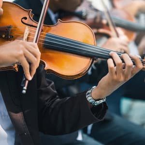 Serenity Orchestra: Music for Relaxation - Charles Anderson