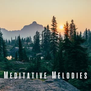 Meditative Melodies: Nature and Chill Sounds for Deep Reflection - Ambient Nature project