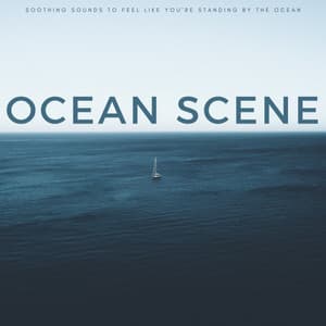Ocean Scene: Soothing Sounds To Feel Like You're Standing By The Ocean - Nature Calm