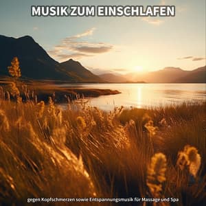 Musik zum Einschlafen gegen Kopfschmerzen sowie Entspannungsmusik für Massage und Spa - Einschlafen