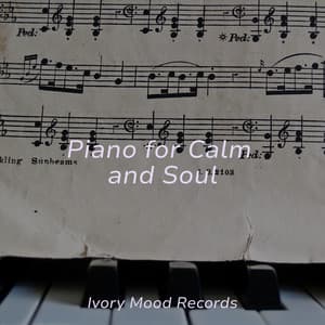 Piano for Calm and Soul - Ivory Mood