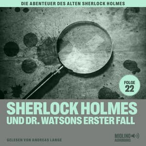 Sherlock Holmes und Dr. Watsons erster Fall - Der alte Sherlock Holmes