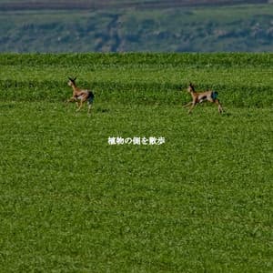 植物の側を散歩 - Musique du Matin