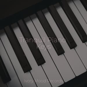 Tranquil Piano Keys - Ivory Mood