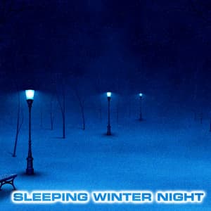Sleeping Winter Night - National Geographic Nature Sounds