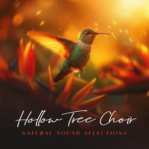 Hollow Tree Choir - Natural Sound Selections