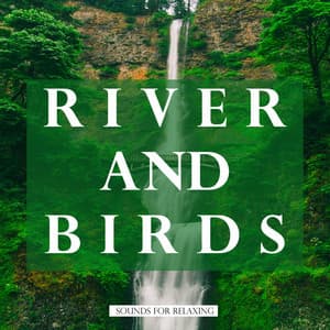 River and Birds Sounds for Relaxing - Study Music & Sounds