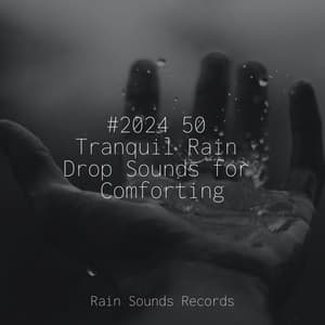 #2024 50 Tranquil Rain Drop Sounds for Comforting - Musica Para Dormir y Sonidos de la Naturaleza