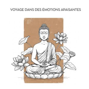 Voyage dans des émotions apaisantes - Pierre Rotween