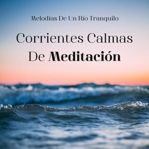 Corrientes Calmas De Meditación: Melodías De Un Río Tranquilo - Centro de Efectos de Agua