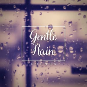 Gentle Rain Sounds - Background Noise From TraxLab