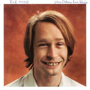 Stenåldern kan börja - bob hund