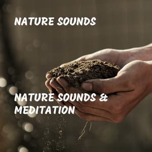 Nature Sounds & Meditation - Spa Treatment