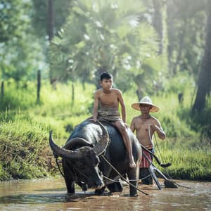Ambient Harmony for Deep Work in Rainfall - Thunder and Rain Storm